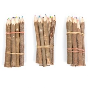 Coloured Pencil Set - Medium
