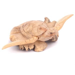 Turtle With Wings