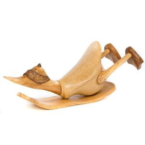 Snow Boarding Duck